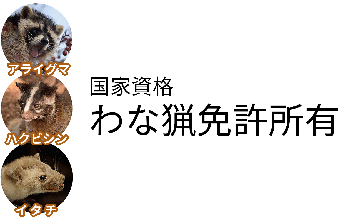 アライグマ・イタチ・ハクビシン駆除